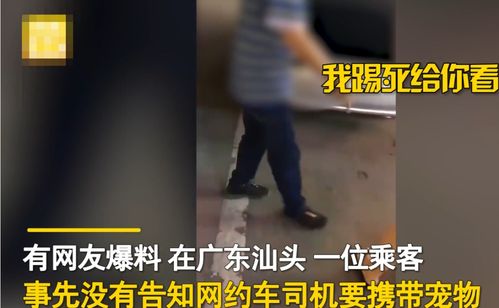 上海艾吉宠物医院连锁